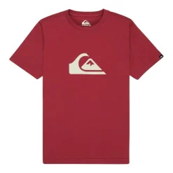 Camisetas manga corta Quiksilver Ev Comp Logo Ss Youth
