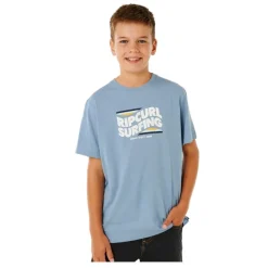 Camisetas manga corta Rip curl Streamline Big Logo Promo Tee