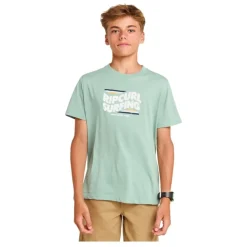Camisetas manga corta Rip curl Streamline Big Logo Promo Tee