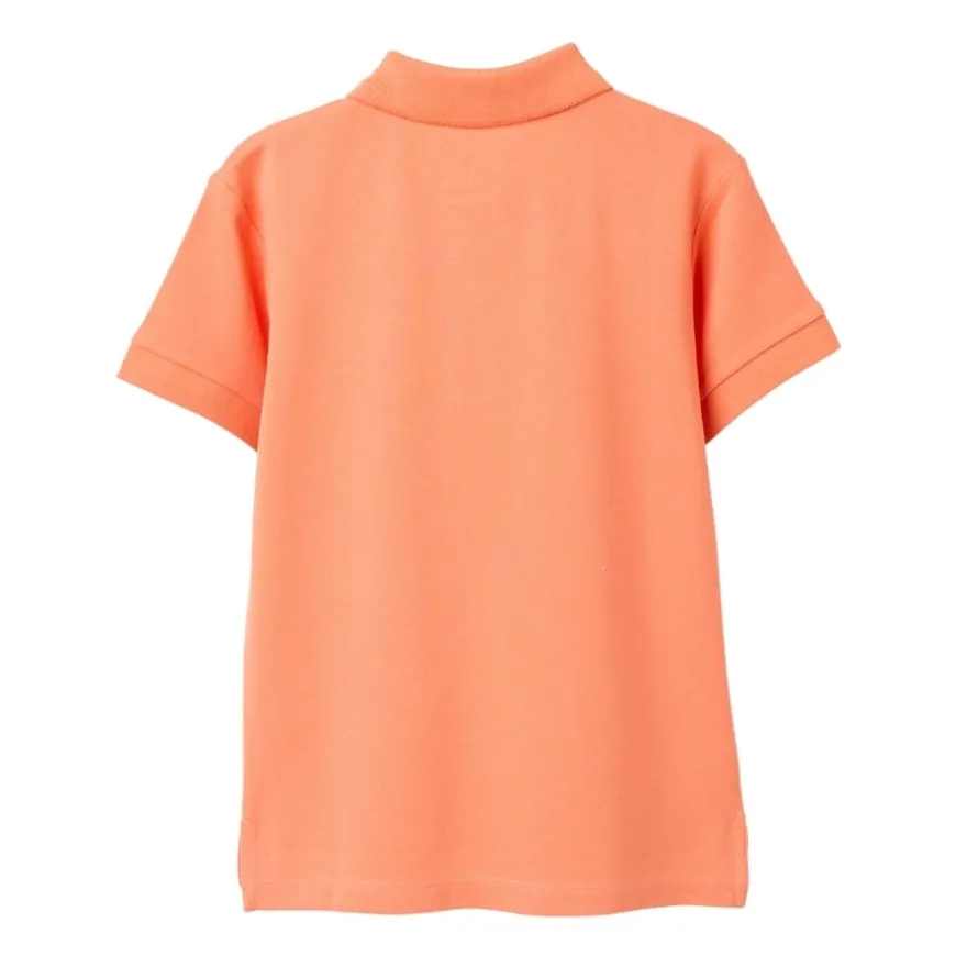 Camisetas manga corta Zippy SS SHIRT PIQUE