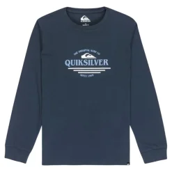 Camisetas manga larga Quiksilver Ev Type Line Ls Youth