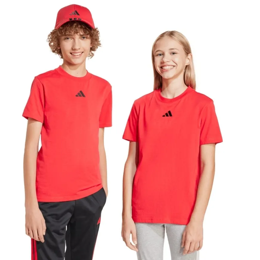 Camisetas manga corta Adidas J Sl Tee 160