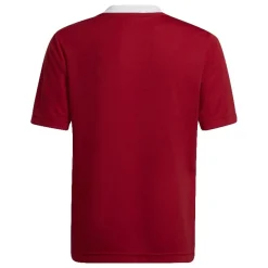 Camisetas manga corta Adidas ENT22 JSY Y