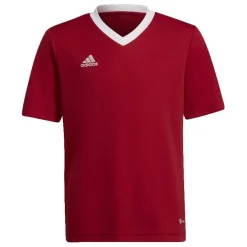 Camisetas manga corta Adidas ENT22 JSY Y