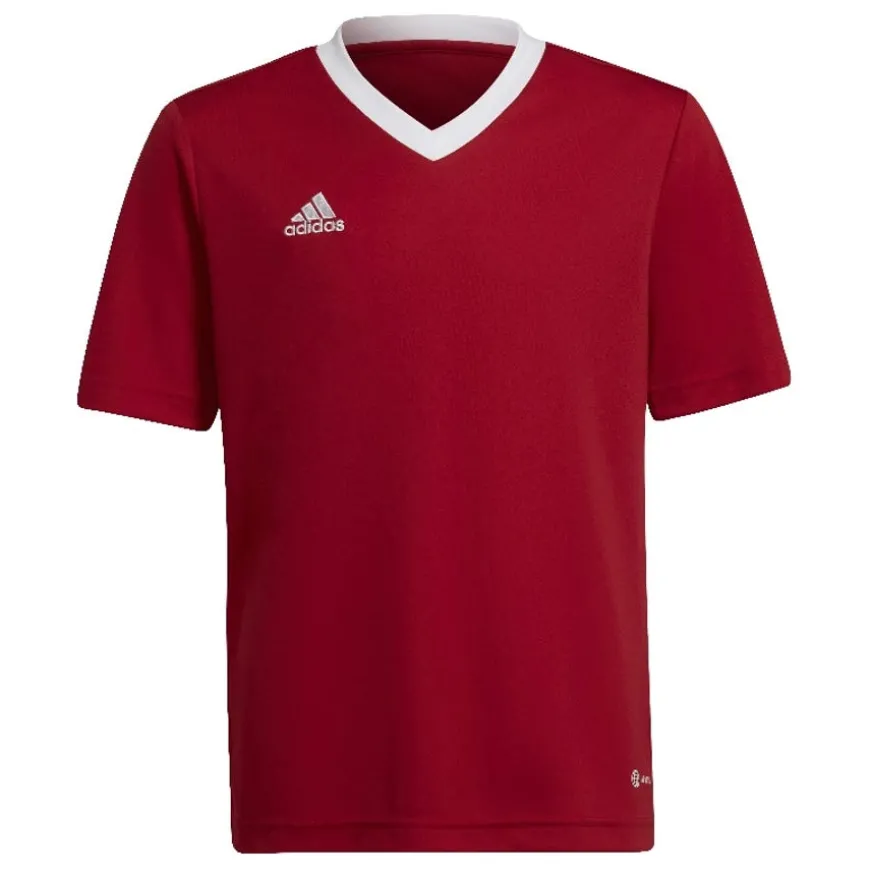 Camisetas manga corta Adidas ENT22 JSY Y