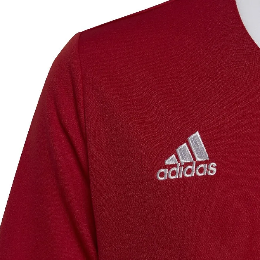 Camisetas manga corta Adidas ENT22 JSY Y