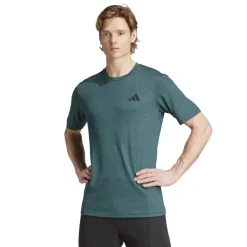 Camisetas manga corta Adidas Tr-Es Fr Nov T