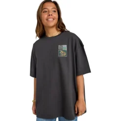 Camisetas manga corta Billabong Daydream Away