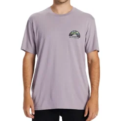 Camisetas manga corta Billabong Shine Tees Skw0