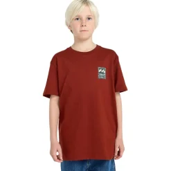 Camisetas manga corta Billabong Stamp Ss