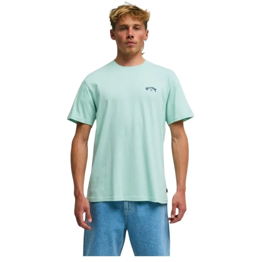 Camisetas manga corta Billabong PromoTee Arch Wave Ss SMU