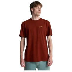 Camisetas manga corta Billabong PromoTee Arch Wave Ss SMU