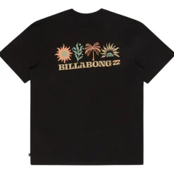 Camisetas manga corta Billabong Segment Ss