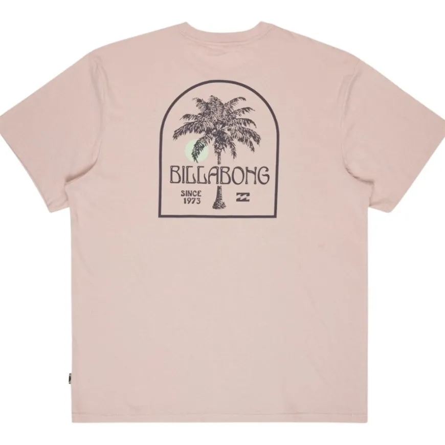 Camisetas manga corta Billabong Portal Premium Ss