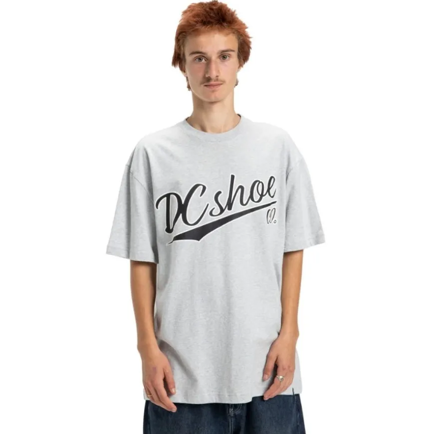 Camisetas manga corta Dc shoes Substitute Hss