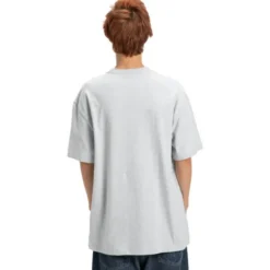 Camisetas manga corta Dc shoes Substitute Hss