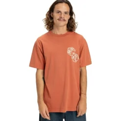 Camisetas manga corta Dc shoes High Rollin Hss