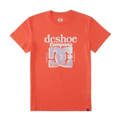 Camisetas manga corta Dc shoes Overspray Tss SMU