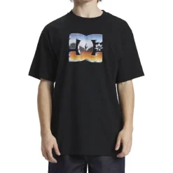 Camisetas manga corta Dc shoes Chrome Star Hss
