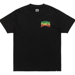Camisetas manga corta Dc shoes Hot Box Hss