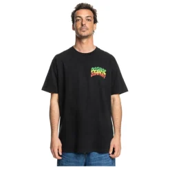Camisetas manga corta Dc shoes Hot Box Hss