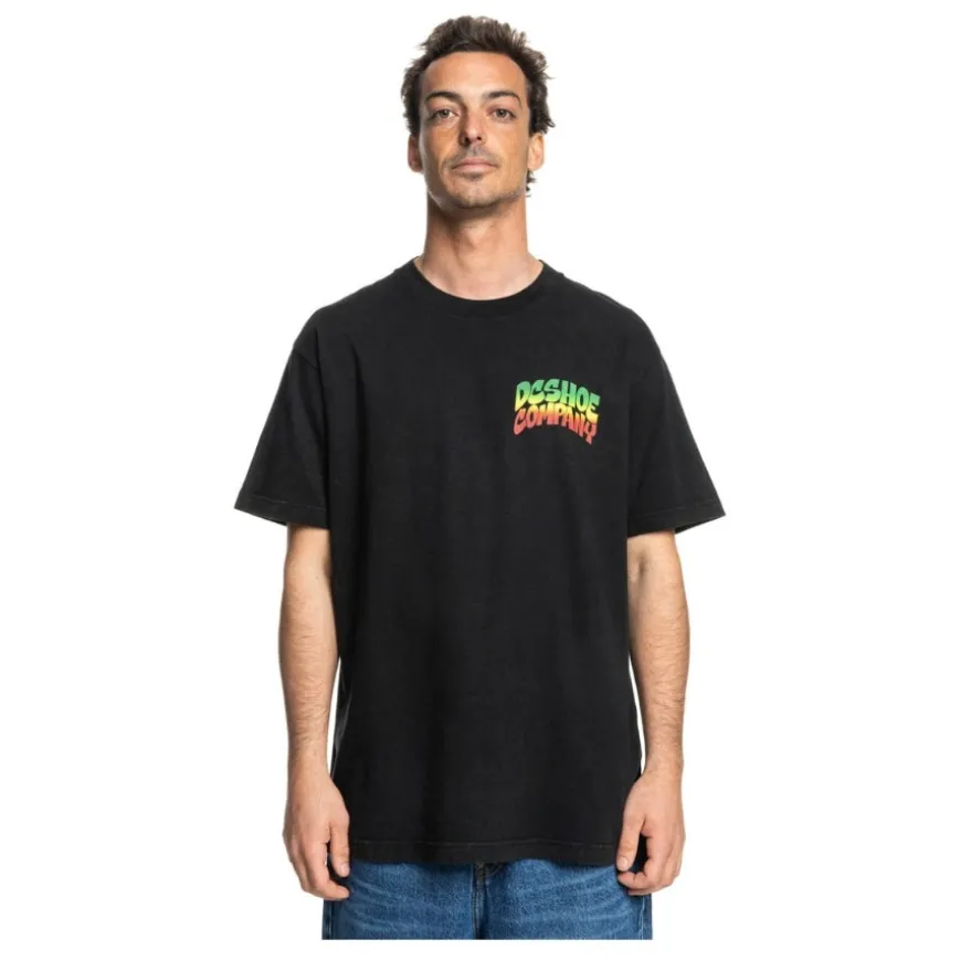 Camisetas manga corta Dc shoes Hot Box Hss
