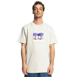 Camisetas manga corta Dc shoes Metallic Star Hss