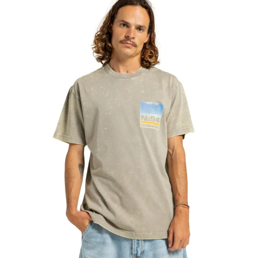 Camisetas manga corta Dc shoes Two Bit Hss