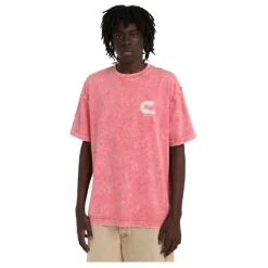 Camisetas manga corta Element Pizza Ss