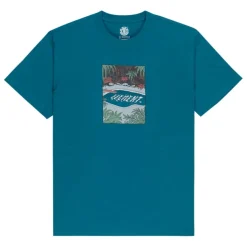 Camisetas manga corta Element Lakeside Ss