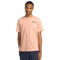 Camisetas manga corta Element Blazin Chest Ss