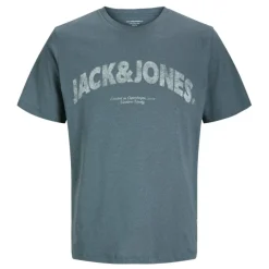 Camisetas manga corta Jack & jones Joralmeria Bold Branding Tee Ss Cn Jnr