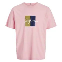 Camisetas manga corta Jack & jones Jorfrederiksberg Boxscript Tee Ss Sn Jnr