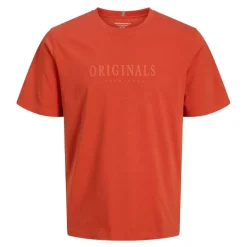 Camisetas manga corta Jack & jones Jorfrederiksberg Box Script Tee Ss Cn Ln