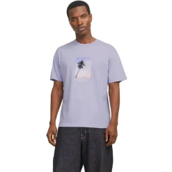 Camisetas manga corta Jack & jones Jorvesterbro Picture Tee Ss Crew Neck Sn