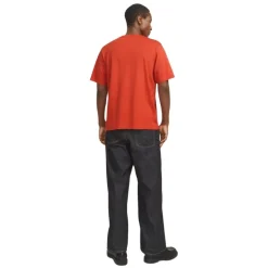 Camisetas manga corta Jack & jones Jorvesterbro Tee Ss Crew Neck Noos