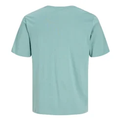 Camisetas manga corta Jack & jones Jjepaulos Tee Ss Crew Neck Noos