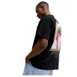 Camisetas manga corta Jack & jones Jorcotedazur Photoback Tee Ss Cn