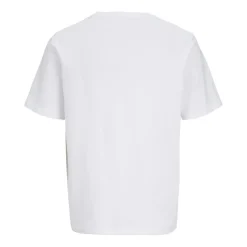 Camisetas manga corta Jack & jones Jjbrandon Tee Ss Crew Neck