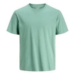 Camisetas manga corta Jack & jones Jjeorganic Basic Tee Ss O-Neck Noos