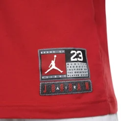 Camisetas manga corta Jordan Jdb Practice Flight