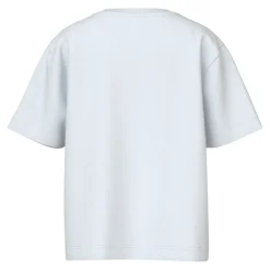 Camisetas manga corta Name-it Nmmvictor Ss Nreg Top