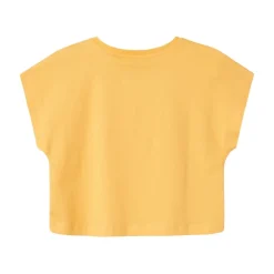 Camisetas manga corta Name-it N.U. Nkfvilma Capsl Crop Top F1 Noos