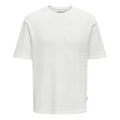 Camisetas manga corta Only & sons Onsgivo Reg 12 Ss Crew Knit Noos