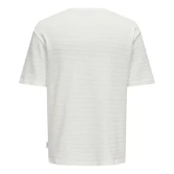 Camisetas manga corta Only & sons Onsgivo Reg 12 Ss Crew Knit Noos
