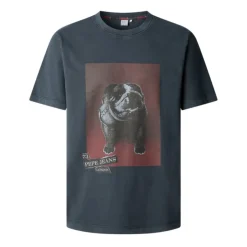 Camisetas manga corta Pepe jeans Shad Tee