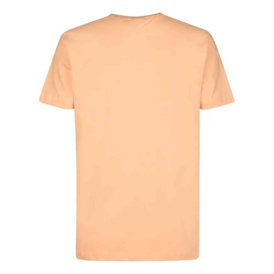 Camisetas manga corta Petrol Men T-Shirt SS Classic Print
