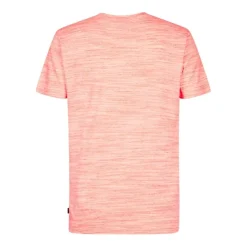 Camisetas manga corta Petrol Men T-Shirt SS Classic Print