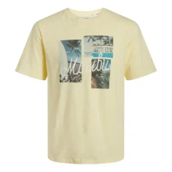 Camisetas manga corta Produkt Pktgms Adam Tee Aop Pocket Ss