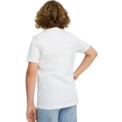 Camisetas manga corta Puma Ess No. 1 Logo Tee B